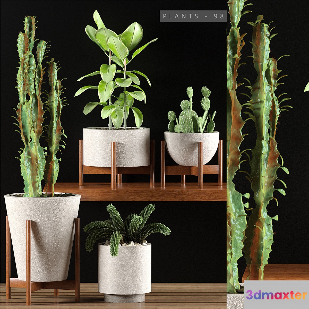 PLANTS 98 - No.2