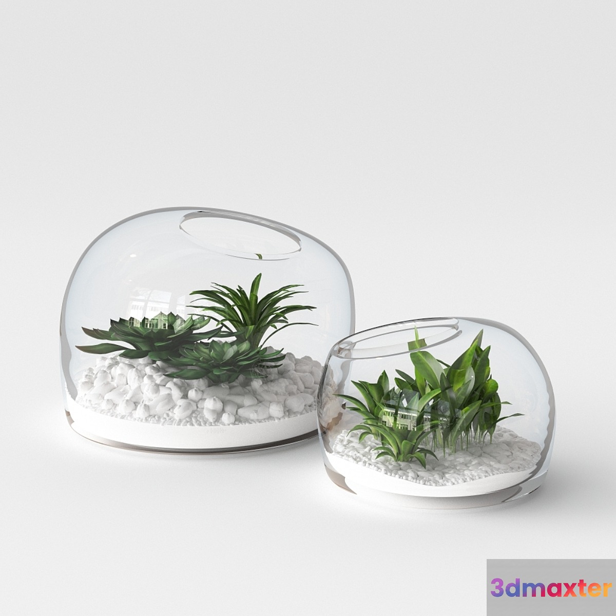 Organic Form Terrariums 3D Max
