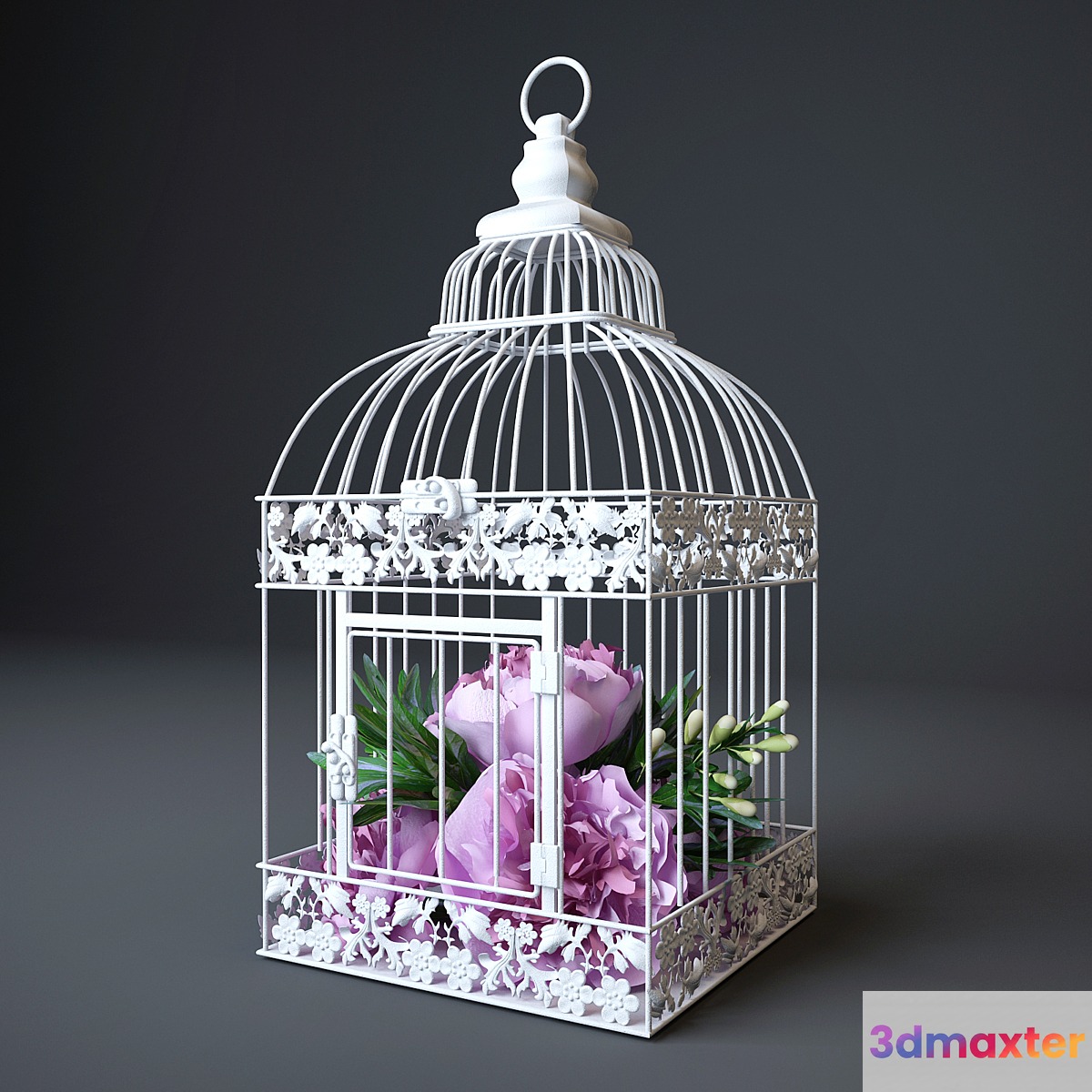 Cell with pions 3D Max