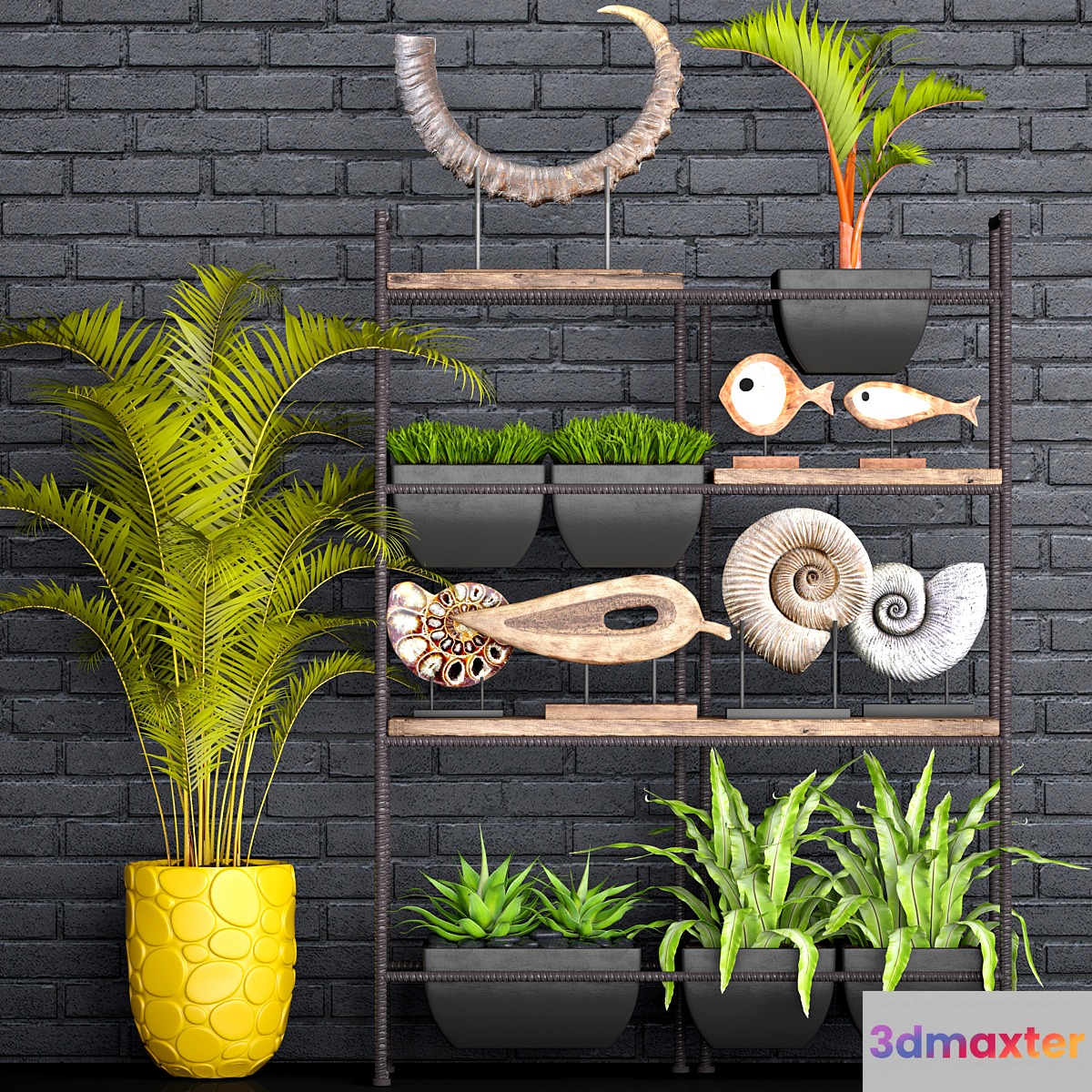 Decorative set. 1. Black brickwork tusk horn palm tree ammonite figurine assplenium loft shelf with decor rack