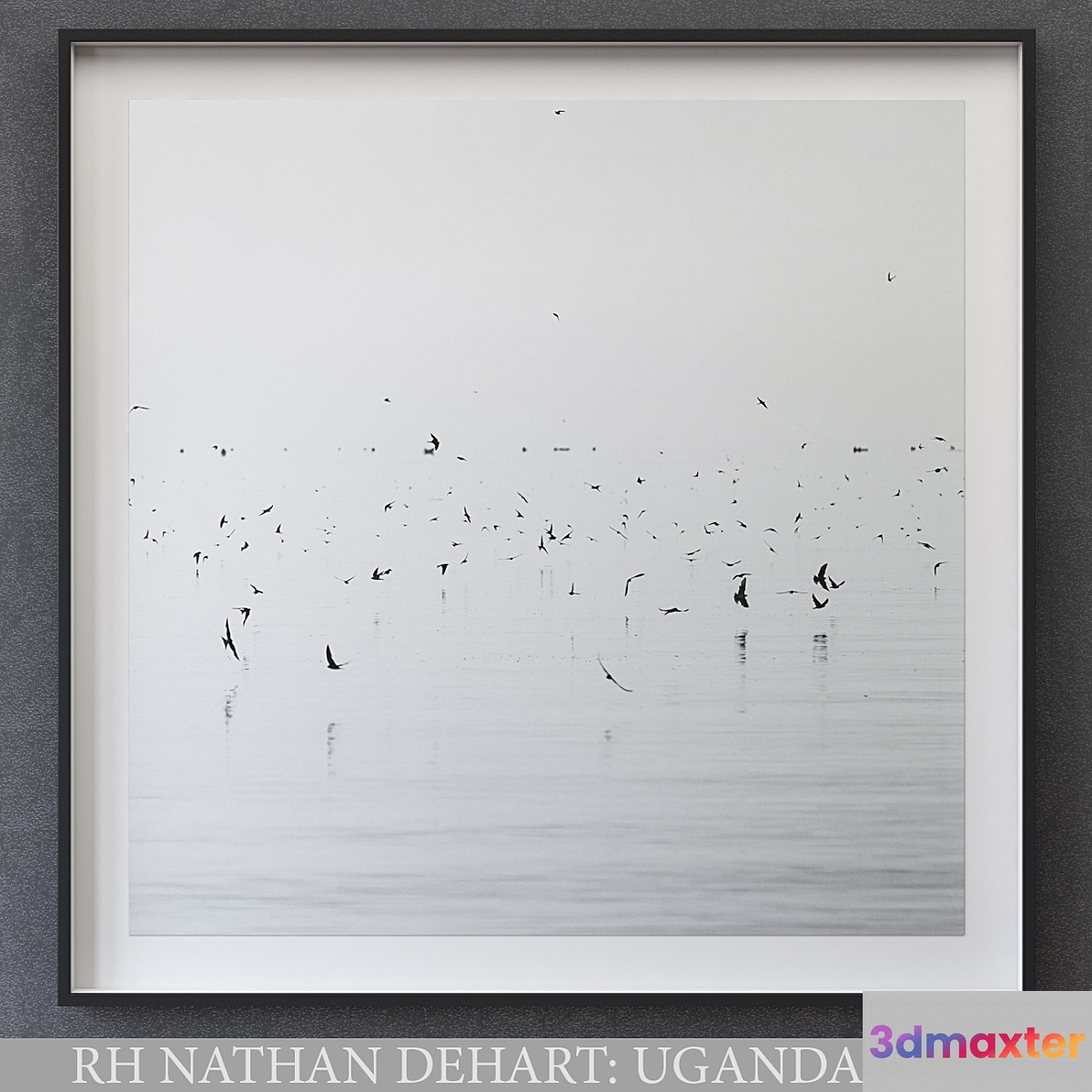 NATHAN DEHART UGANDA BIRDS