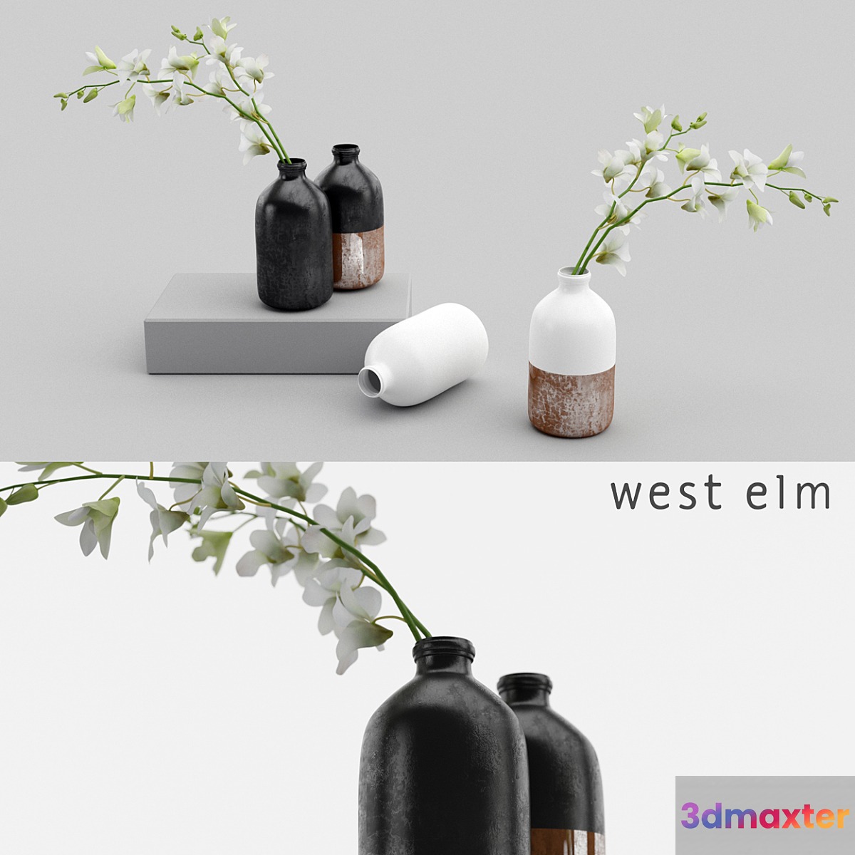 Westelm vases with Orchids