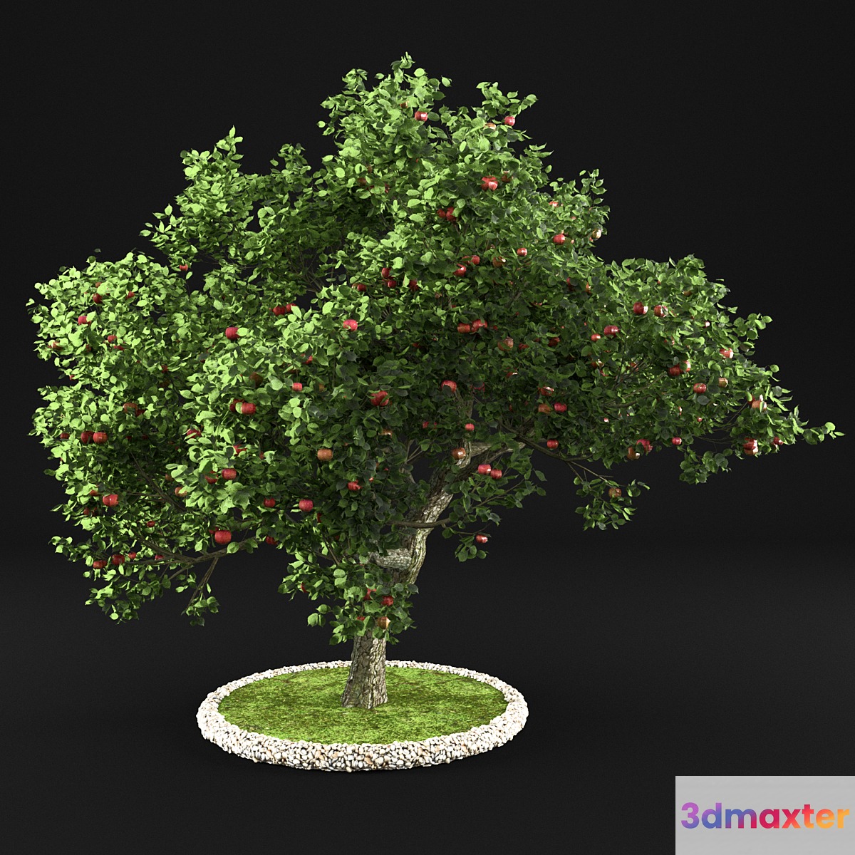 Apple Tree 3D Max