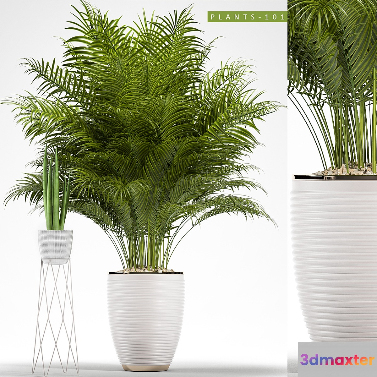 PLANTS 101 3D Max