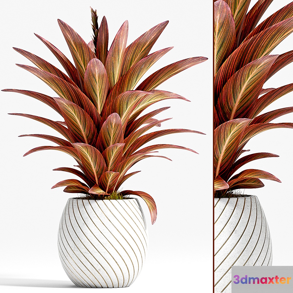 PLANT - 74 3D Max