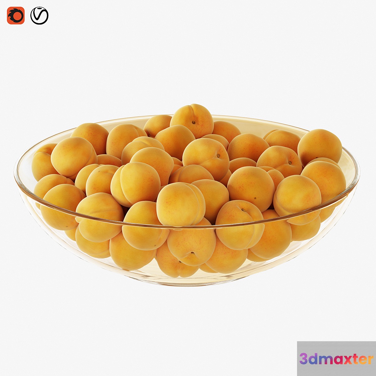 Apricots in a vase 3D Max