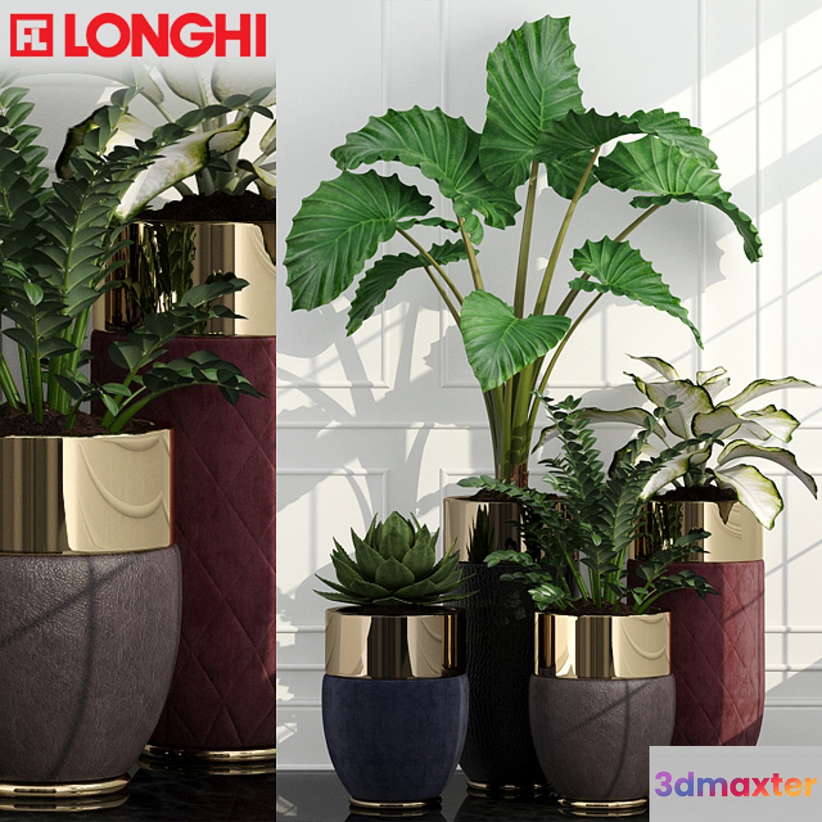 Longhi Godwin - No.3