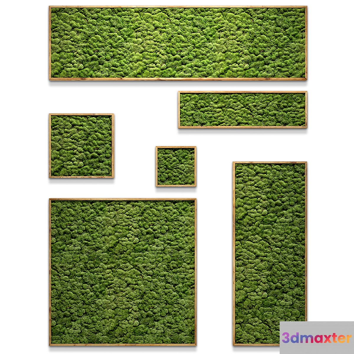 Framed moss 3D Max