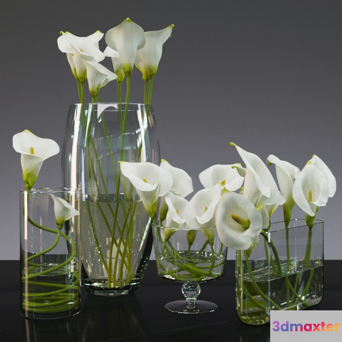 Calla lily 3D Max