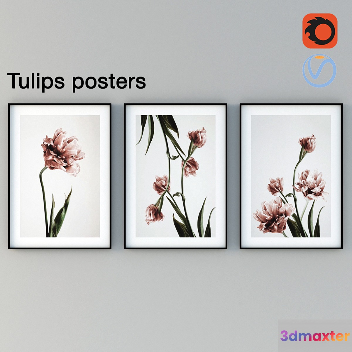 Tulips Posters 3D Max