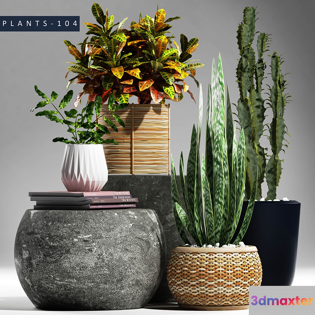 PLANTS 104 3D Max