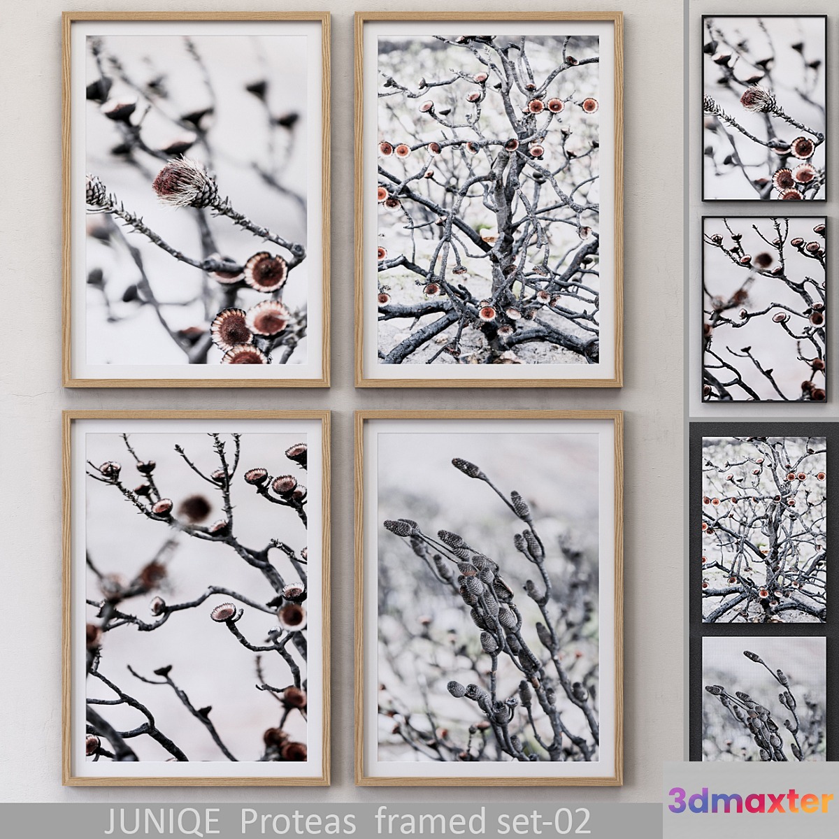Proteas framed set-02 - No.2
