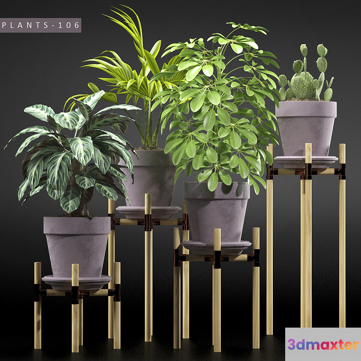 PLANTS 106 - No.4