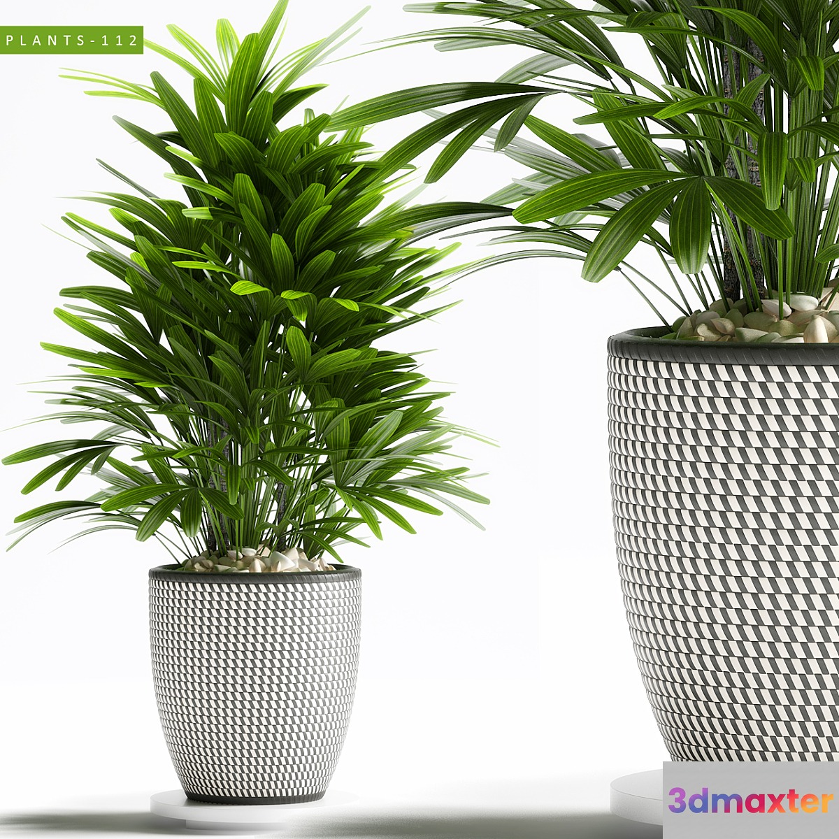 PLANTS 112 - No.4
