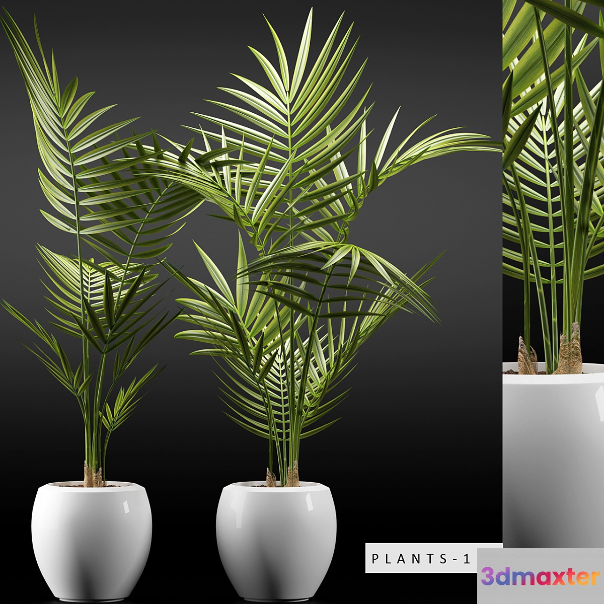 PLANTS 110 - No.2