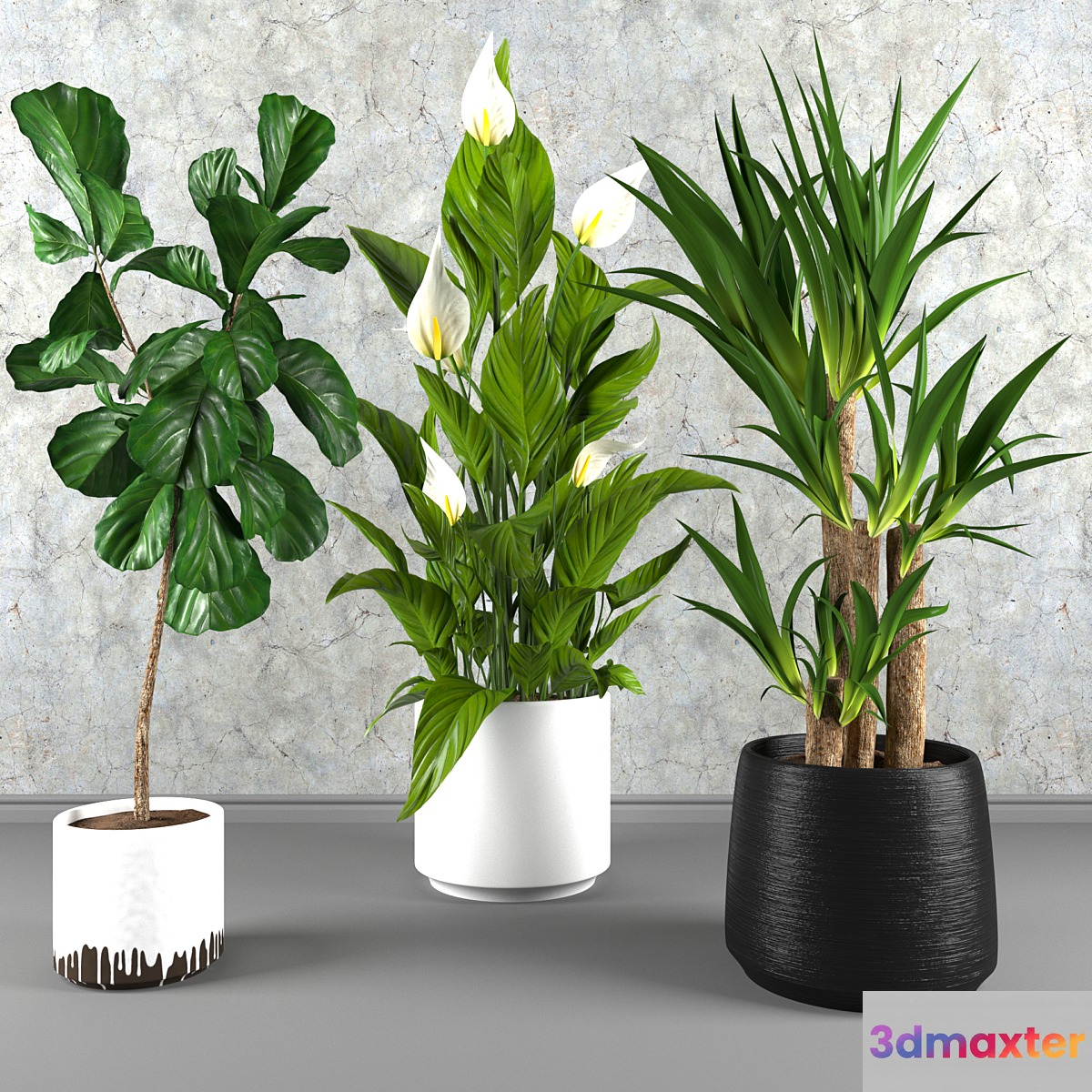 Contemporary houseplant set 3 - No.4