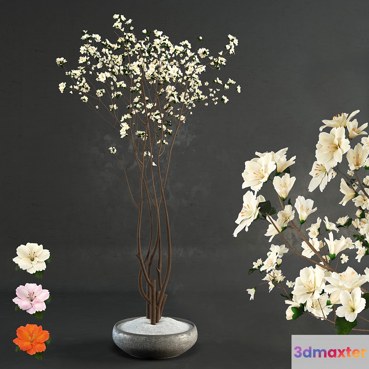 Decorative wood 3D Max