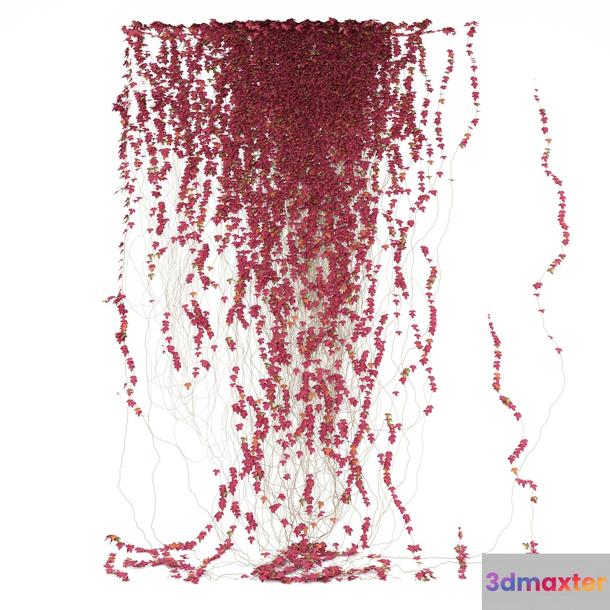 Fragment of red ivy Red Ivy 3D Max