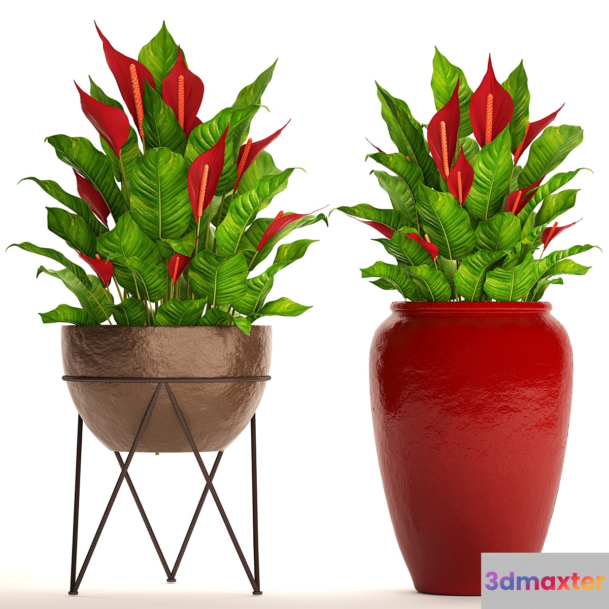 A collection of plants in pots. 55. RED Spathiphyllum Spathiphyllum red decorative flower pot flowerpot bush office plants 3D Max