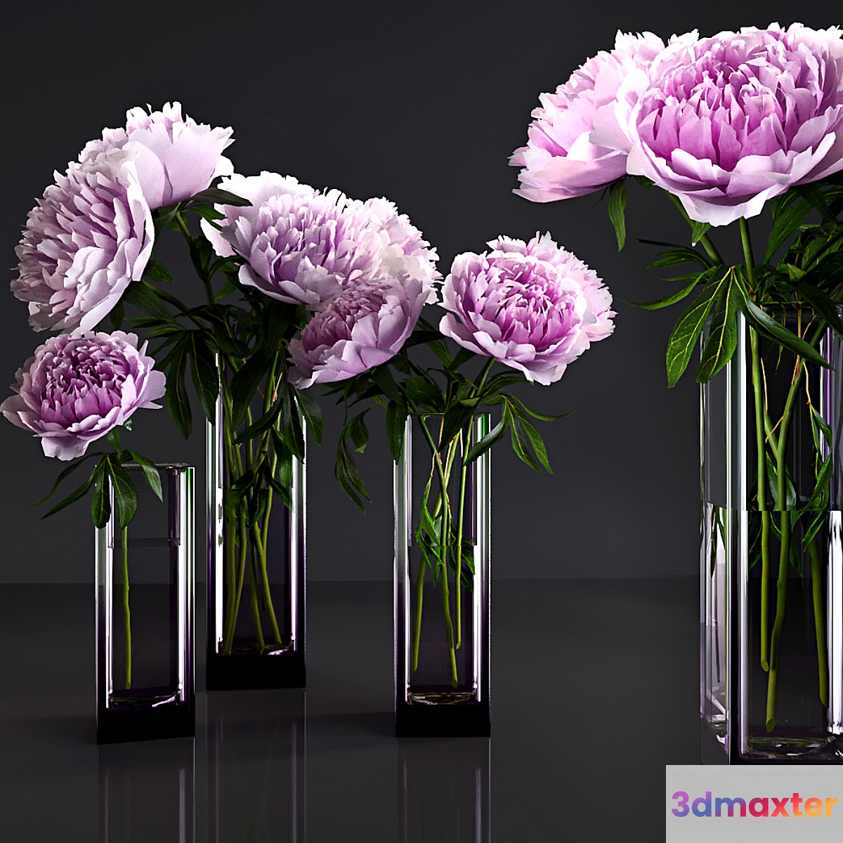 Peonies - No.13