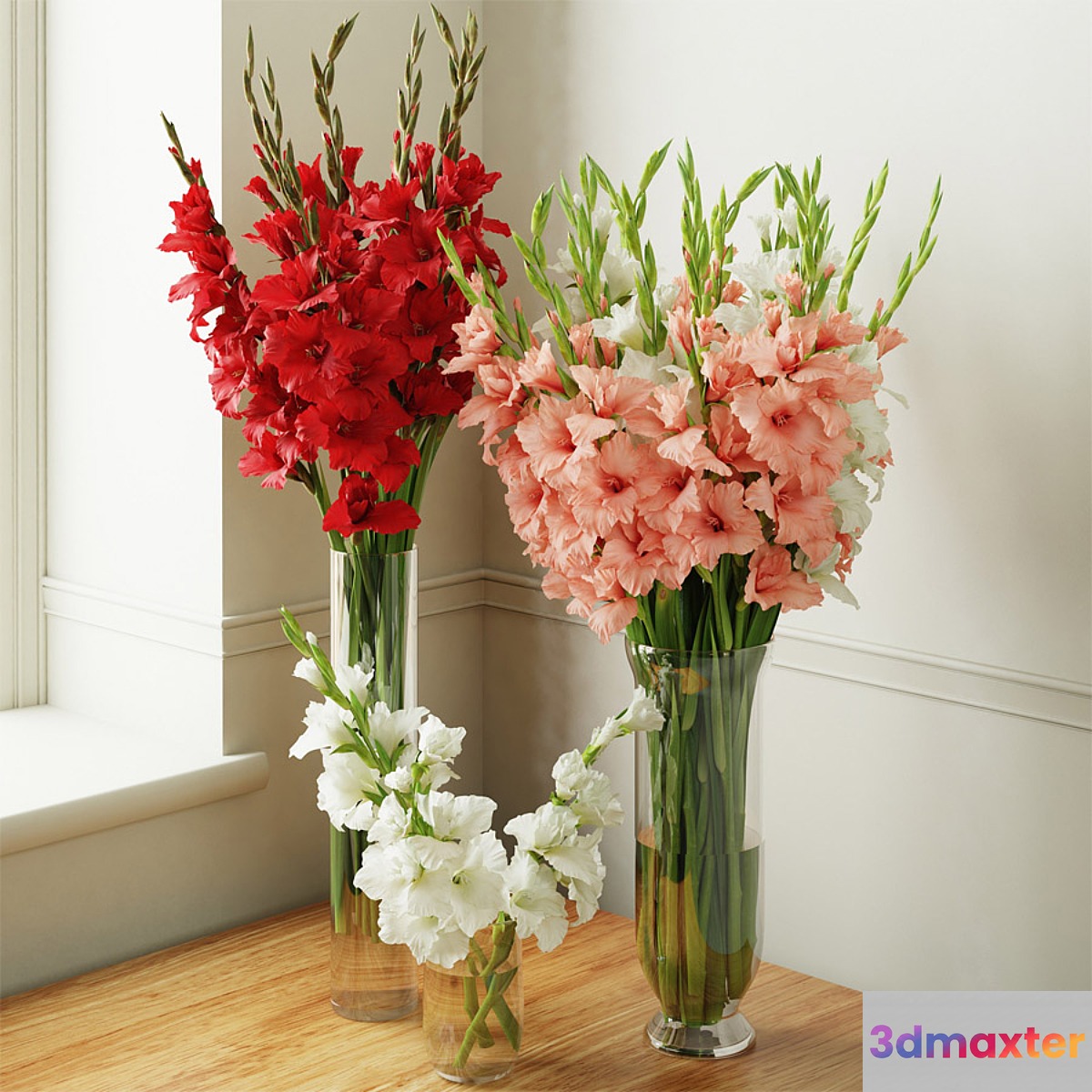 Gladiolus 2 3D Max