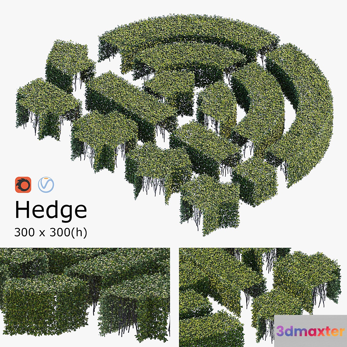 Hedge 3x3