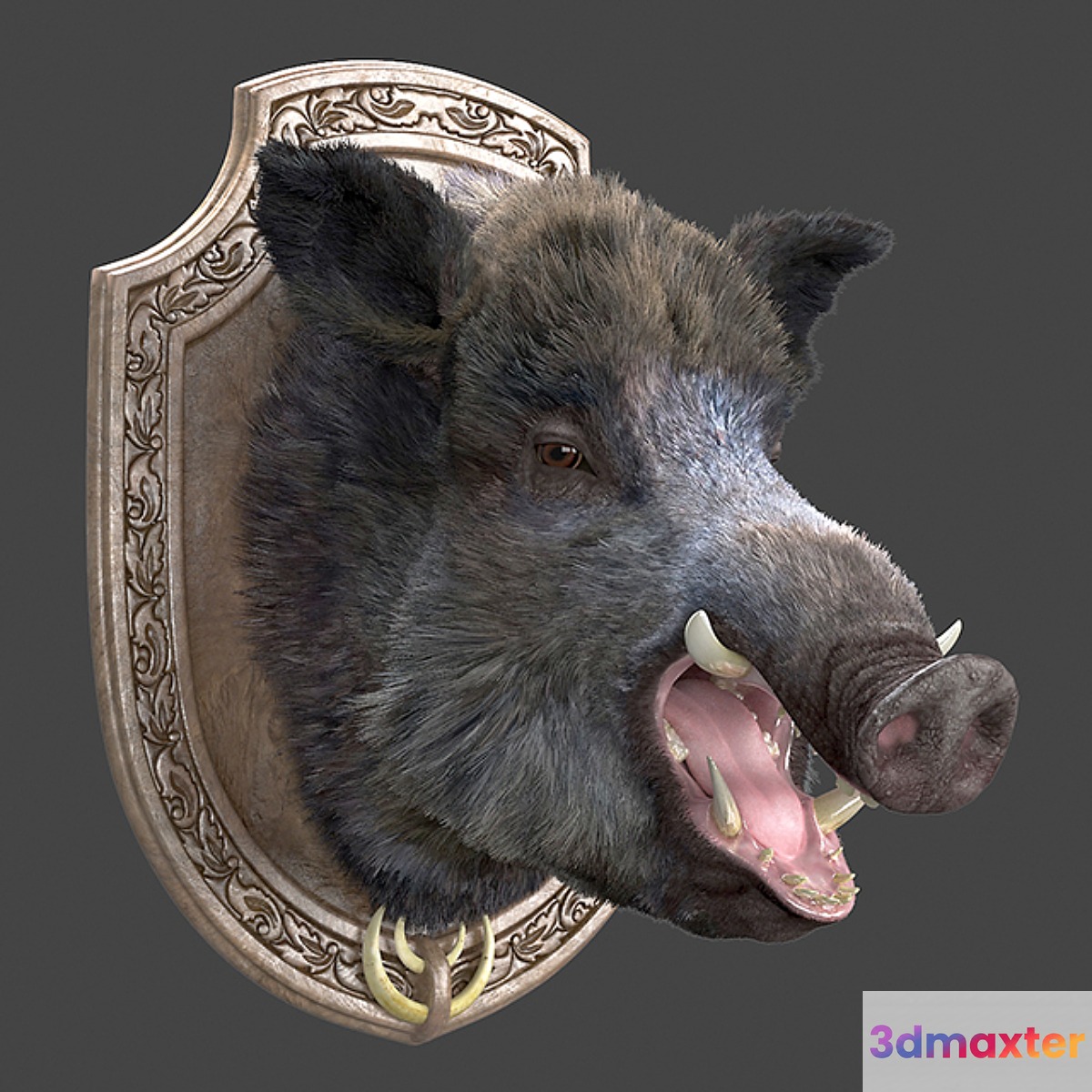 A wild boar 3D Max