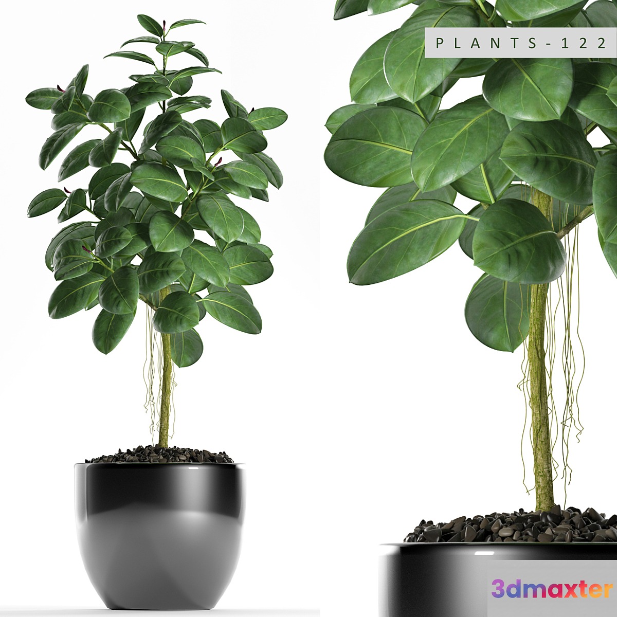 PLANTS 122 3D Max