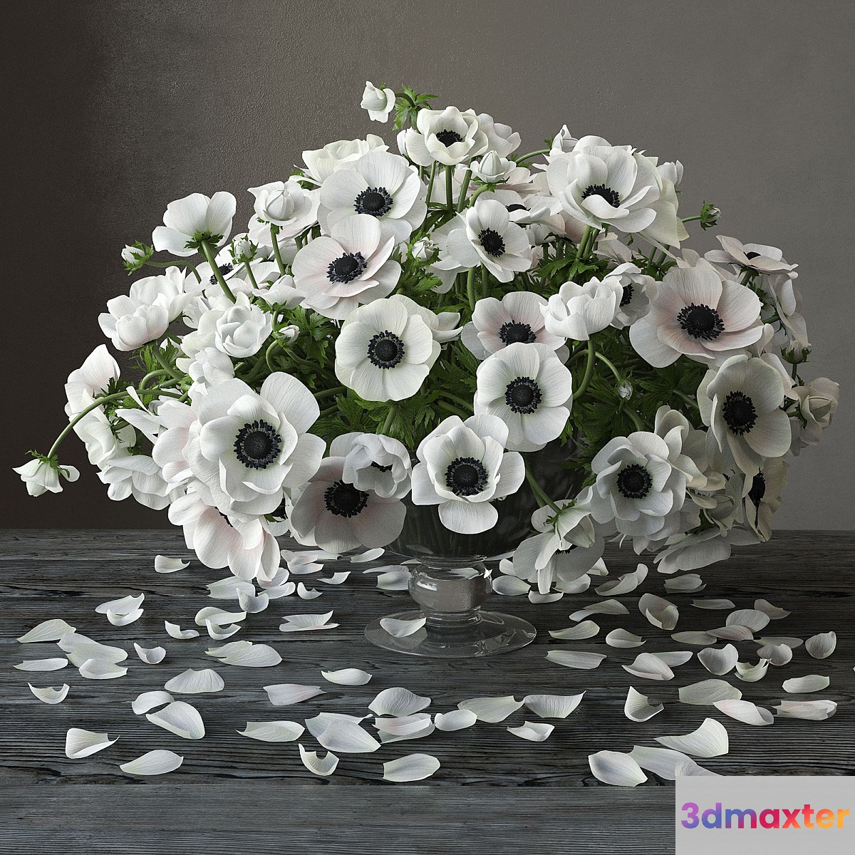 Anemones 3D Max