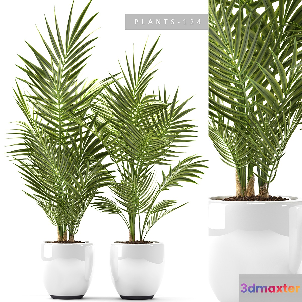 PLANTS 124 3D Max