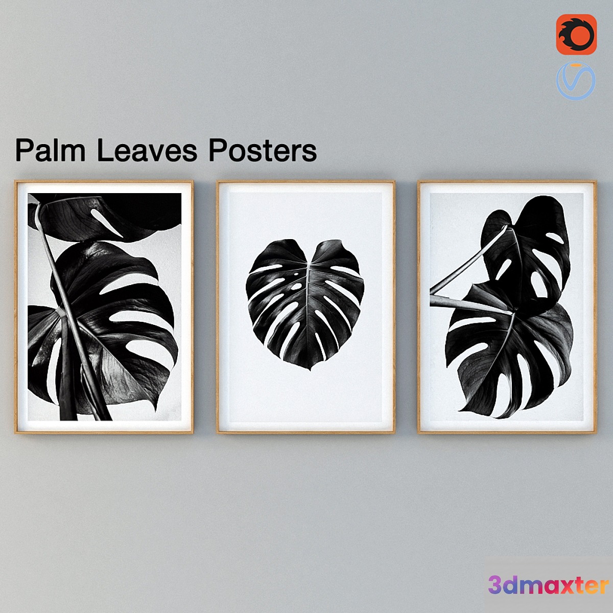 Palm Leaves Posters 3D Max
