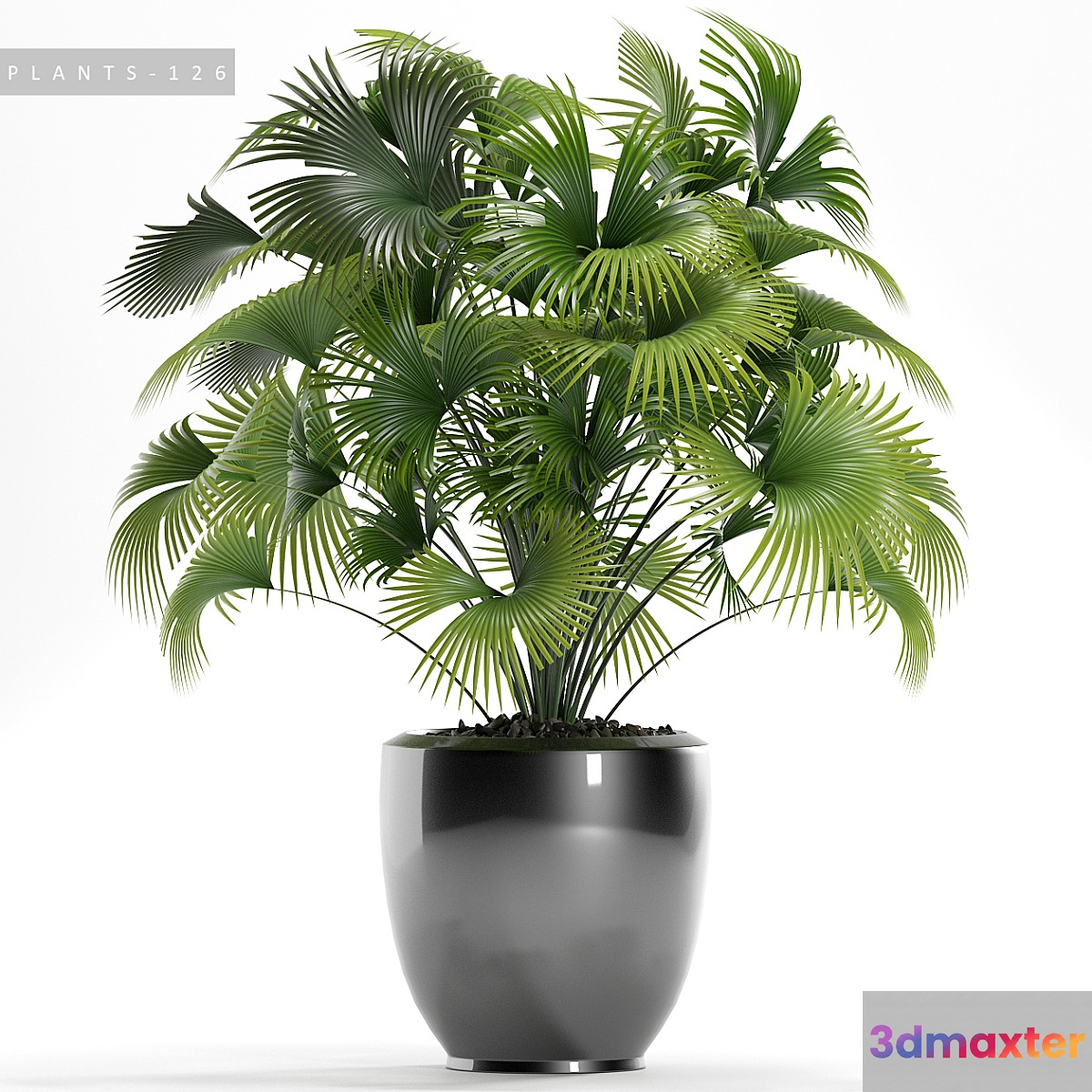 PLANTS 126 - No.3
