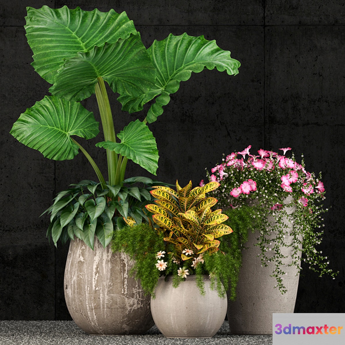 Plants collection 52 3D Max