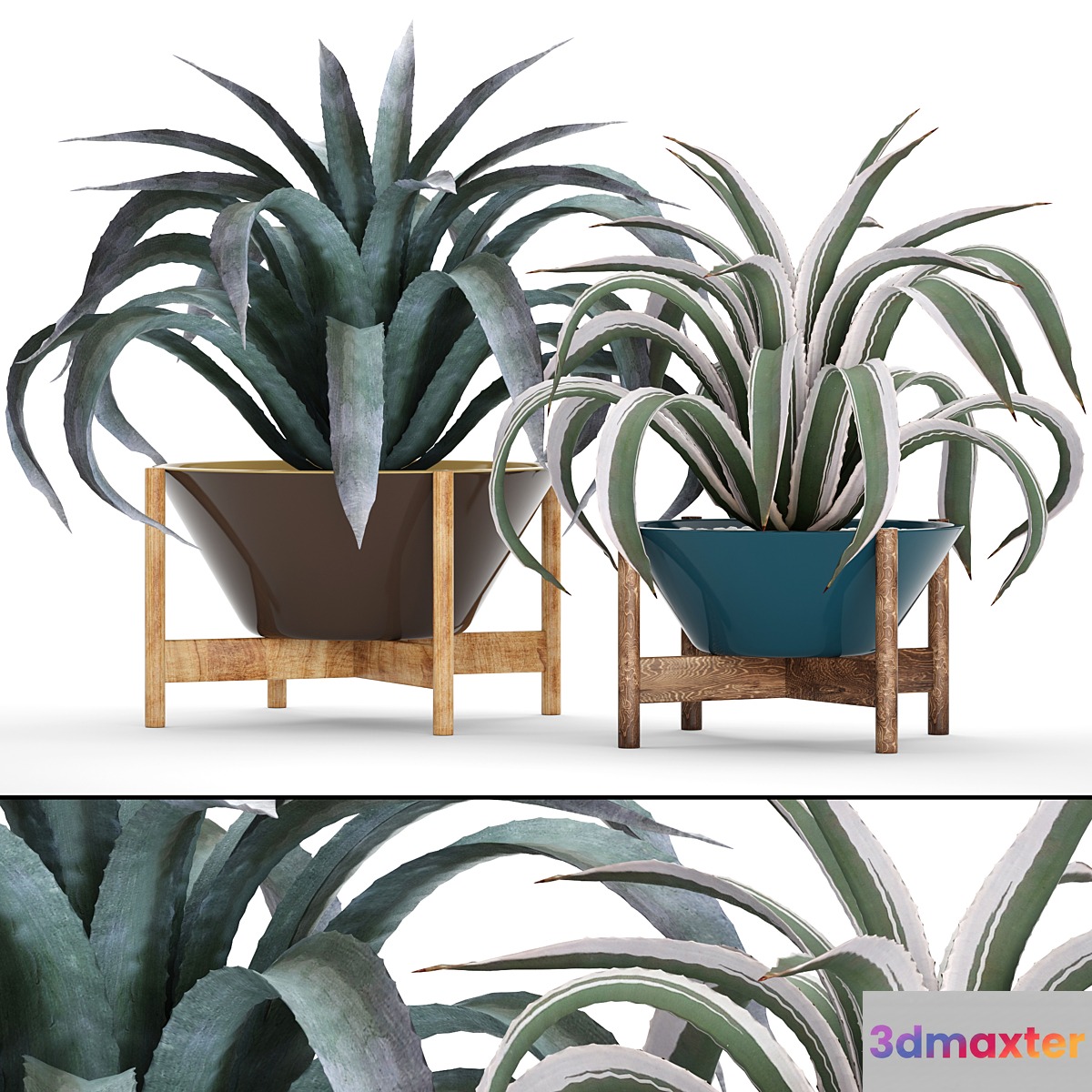 Collection of plants 74. Agave agave aloe cactus outdoor pot flowerpot mexican decorative prickly 3D Max