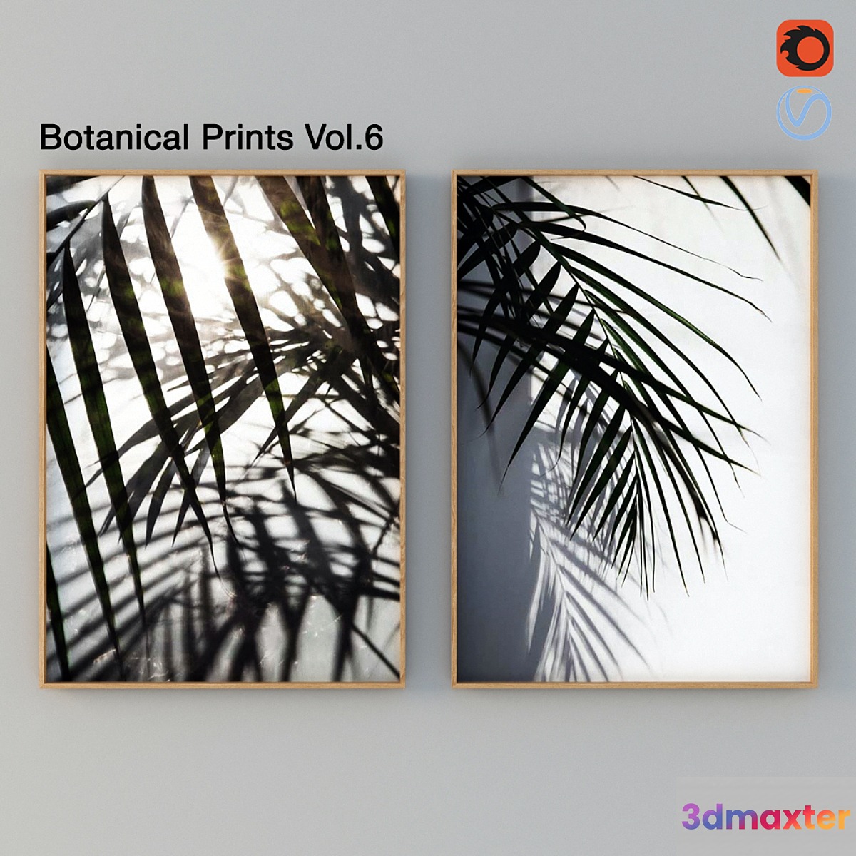 Botanical Prints Vol.6 3D Max