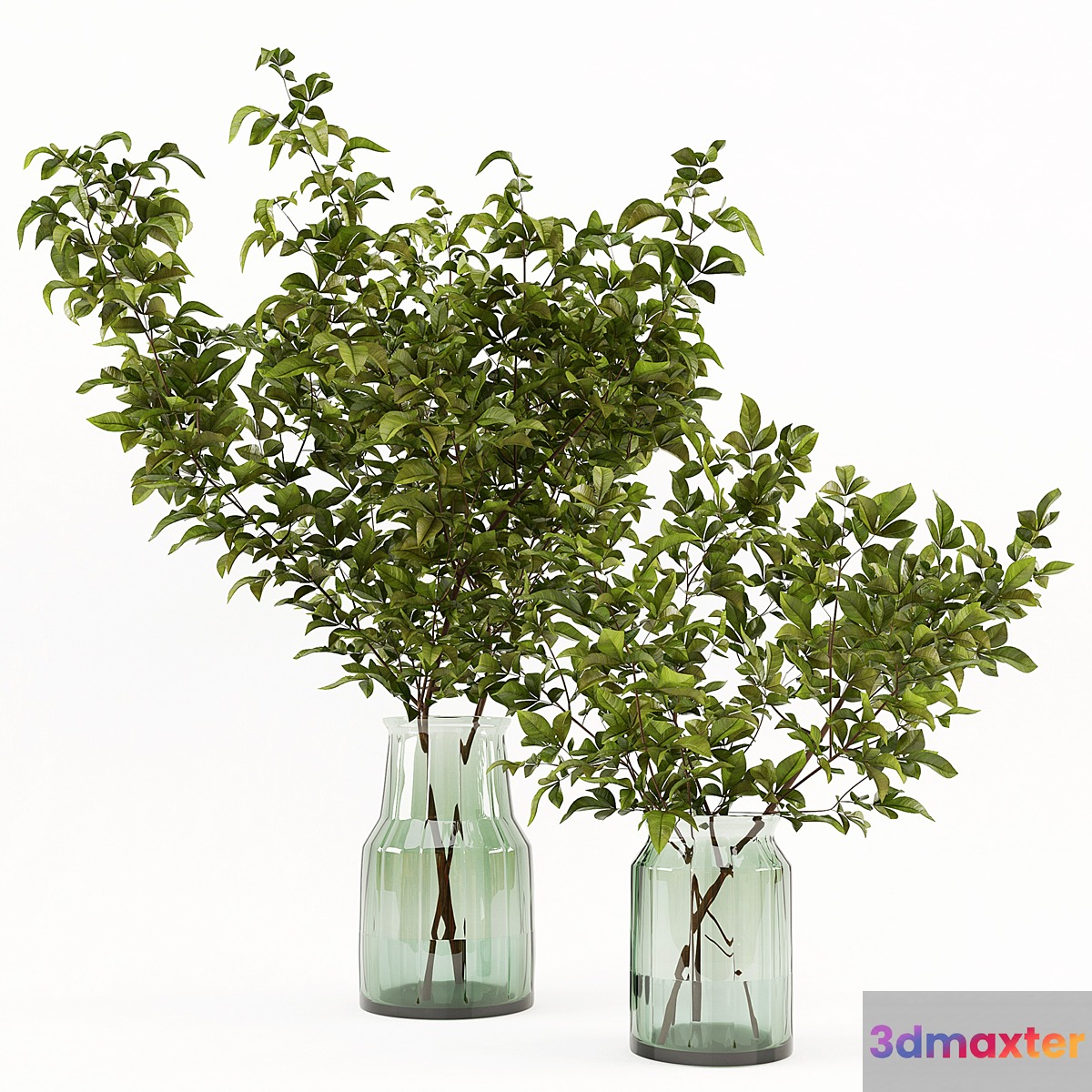 Branches in the vase 002 3D Max