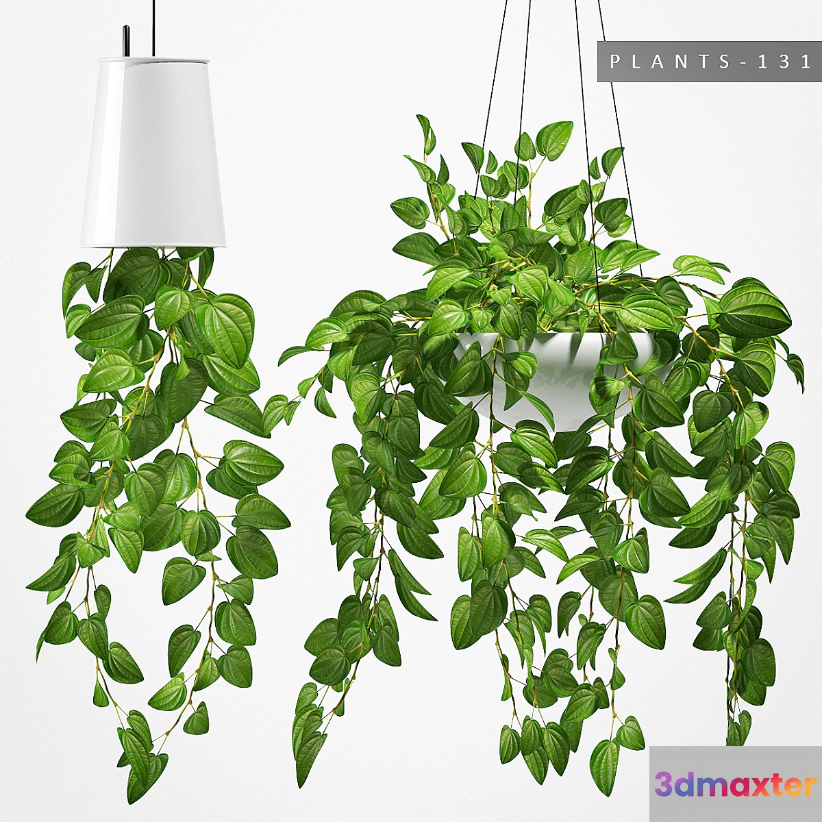 PLANTS 131 - No.3