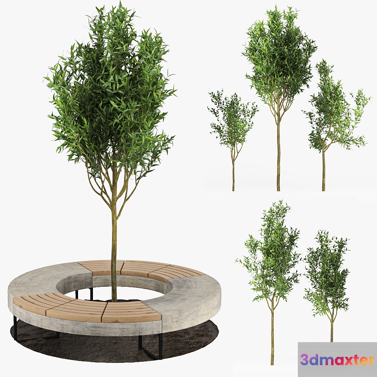 Tree Flowerbed 3D Max