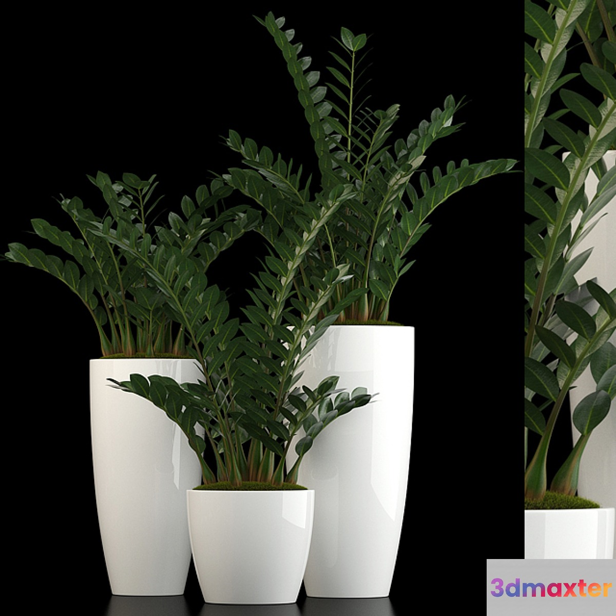 Plants collection 56 3D Max