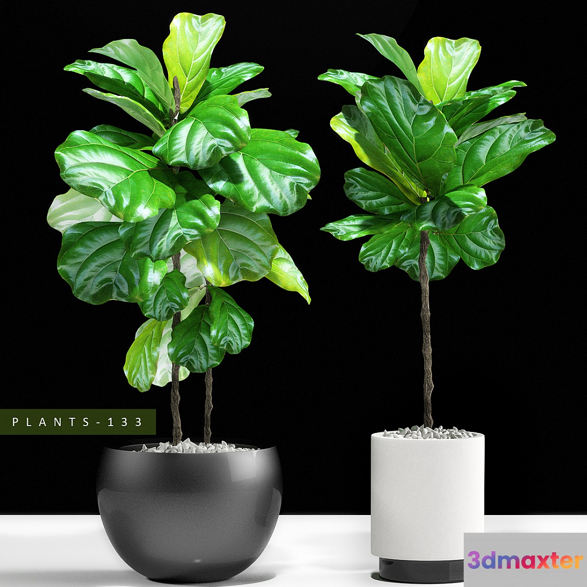 PLANTS 133 3D Max