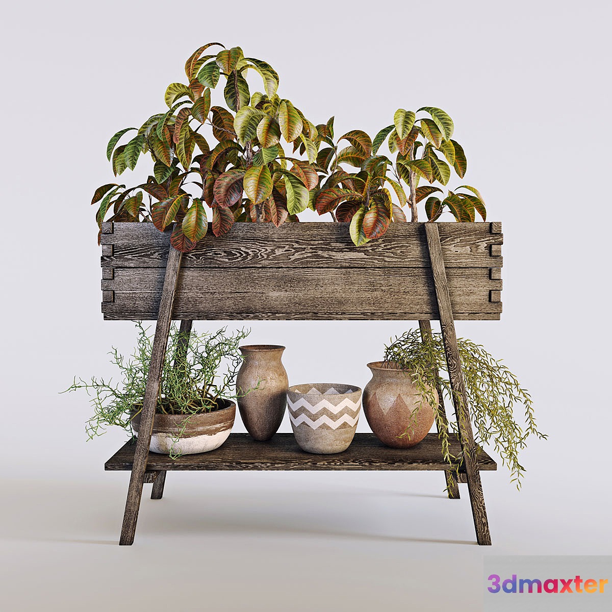 Terrace plants 3 3D Max
