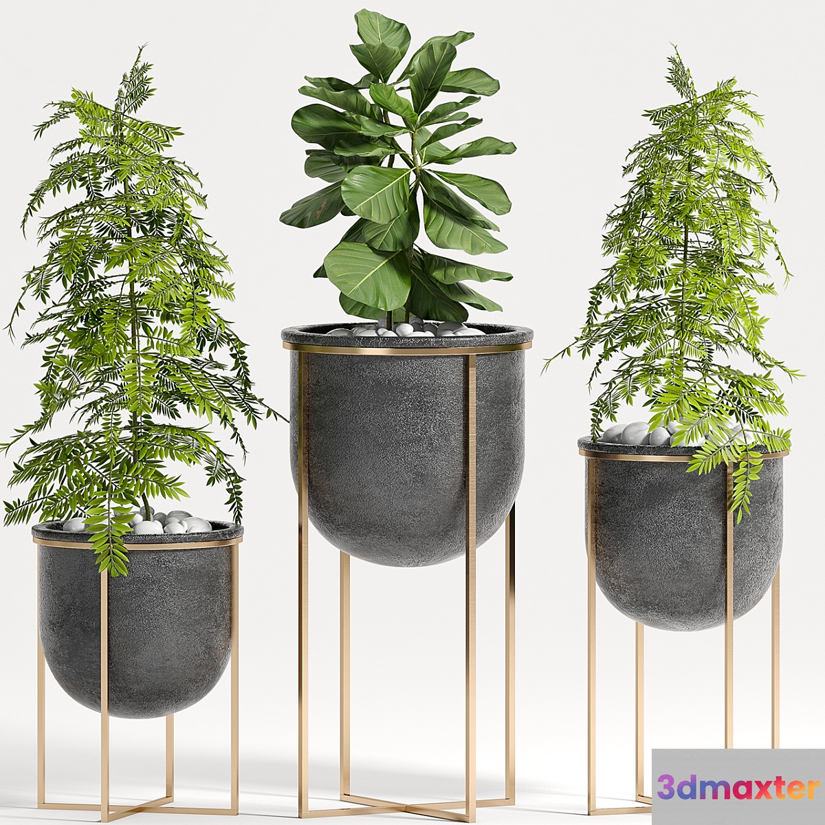 PLANT SET -80 - No.2