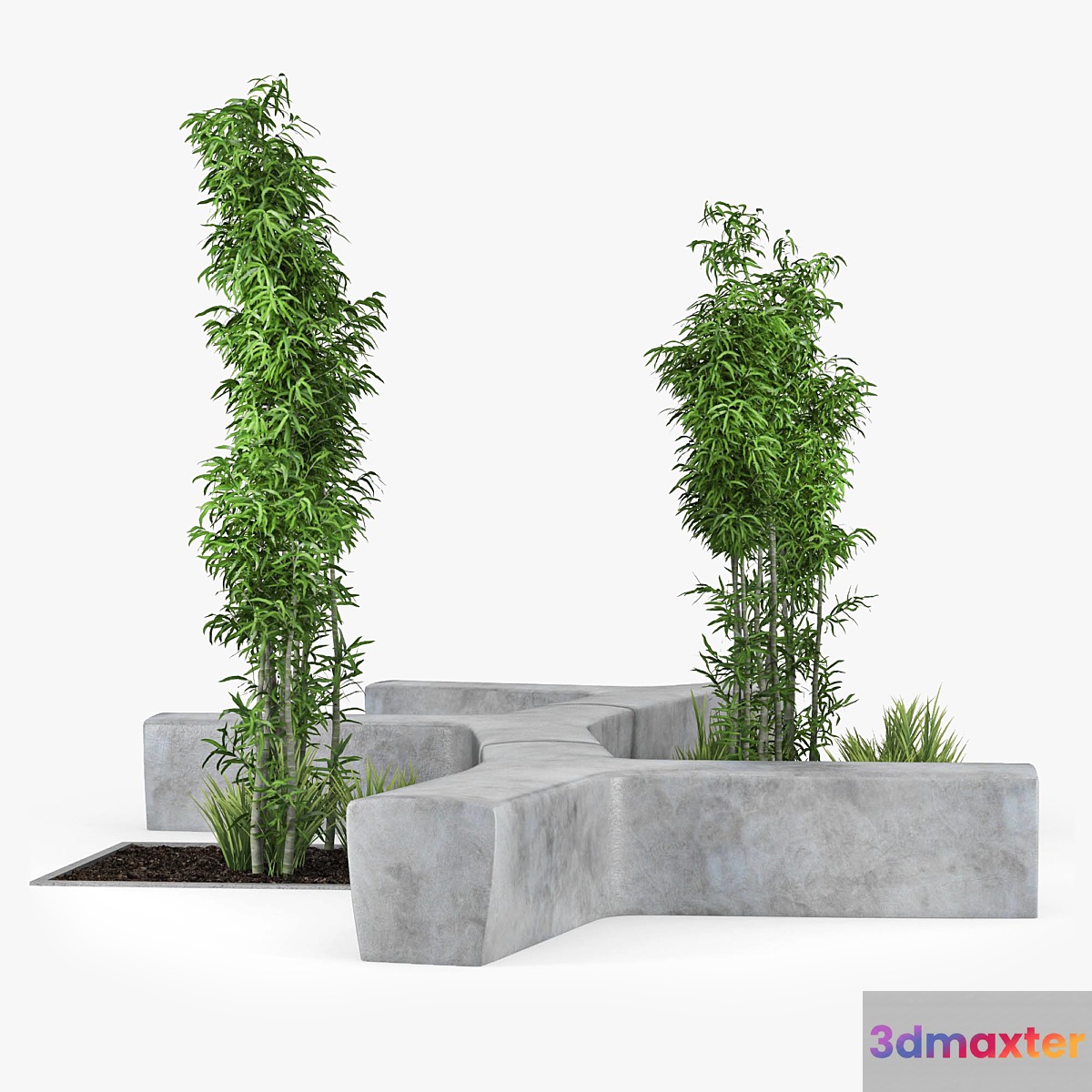 Flower bamboo TWIG 3D Max