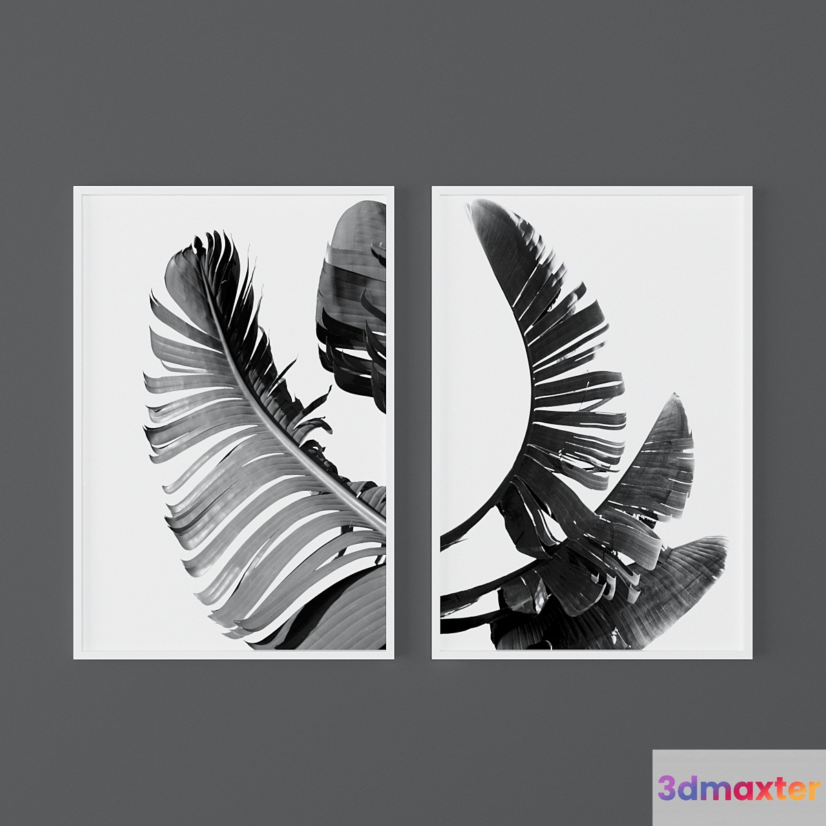 Set of black and white tropical prints 3D Max
