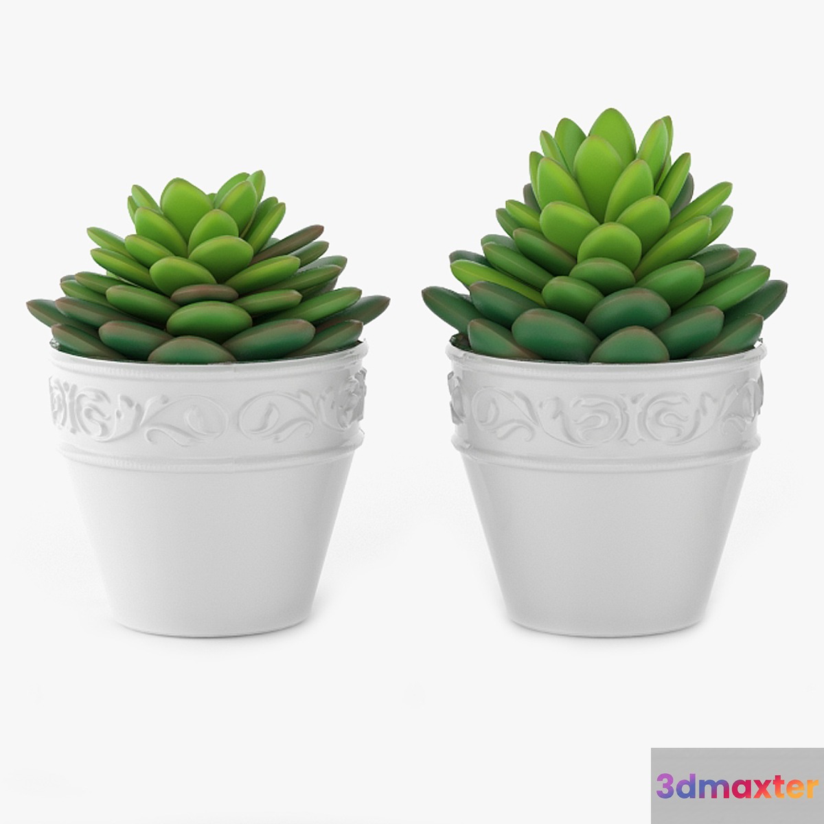 Succulents 09 3D Max