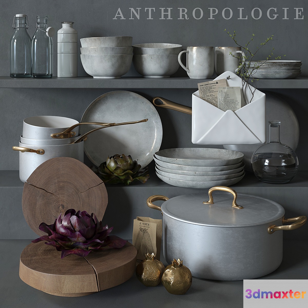 Anthropologie 3D Max