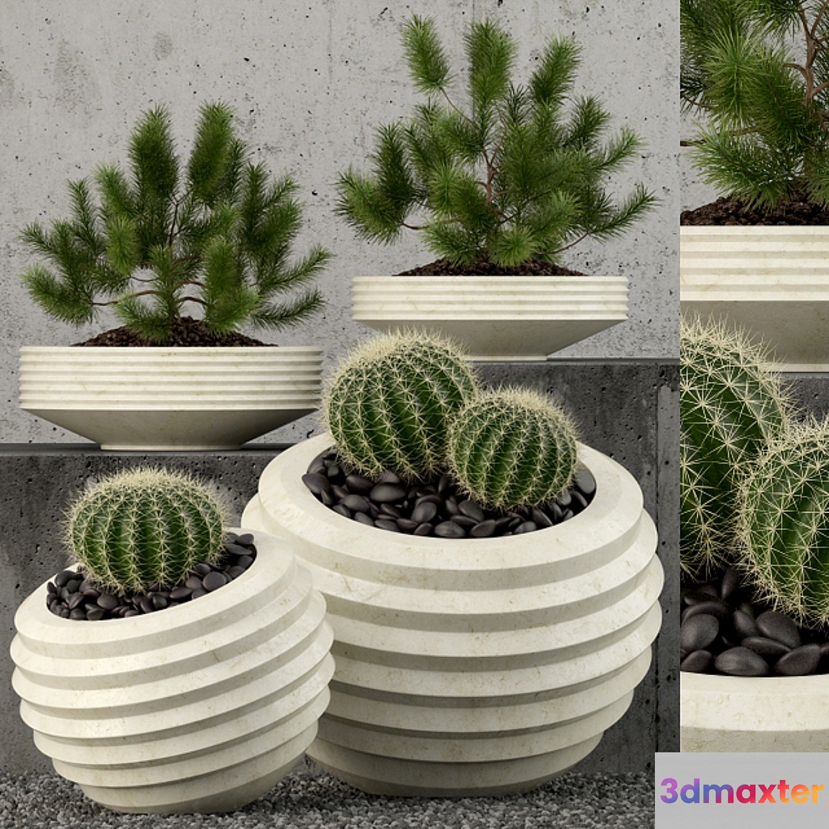 Plants collection 58 3D Max
