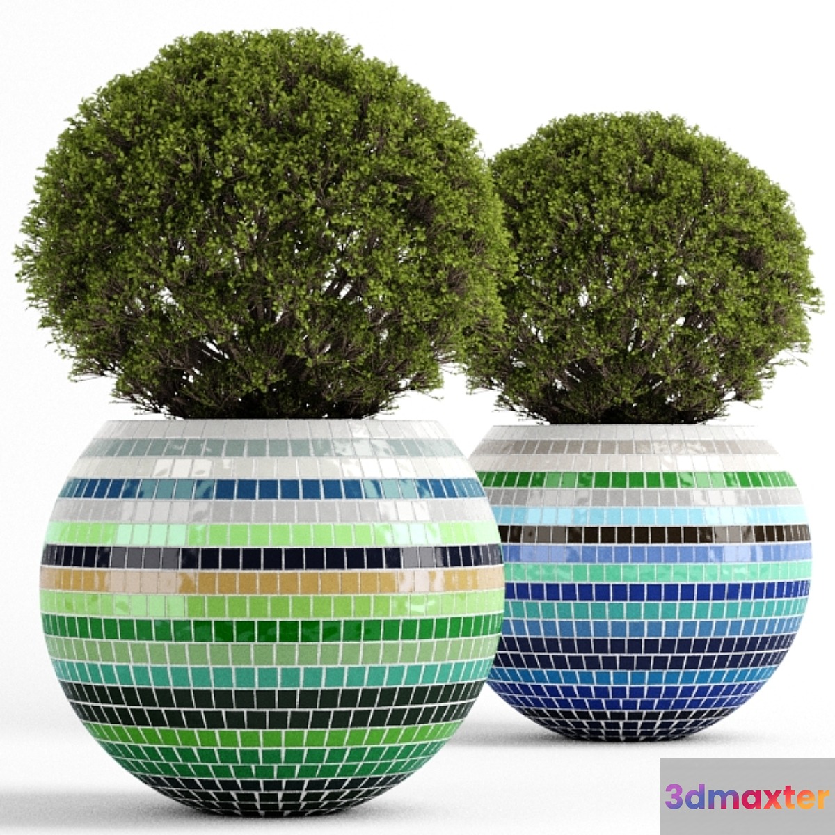 Box tree with Mosaic Pot 3D Max