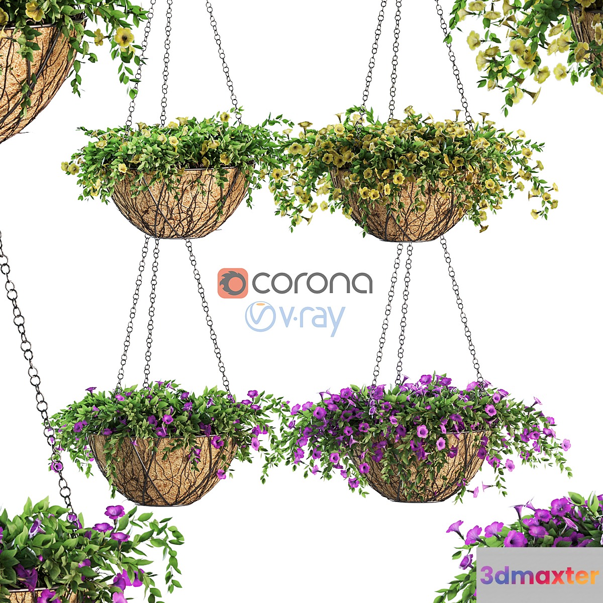 Flowers in a flower pot on a chain. Petunia. 4 models - No.2