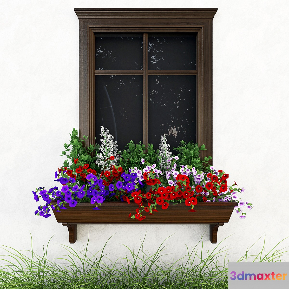 Petunia on the window - No.2